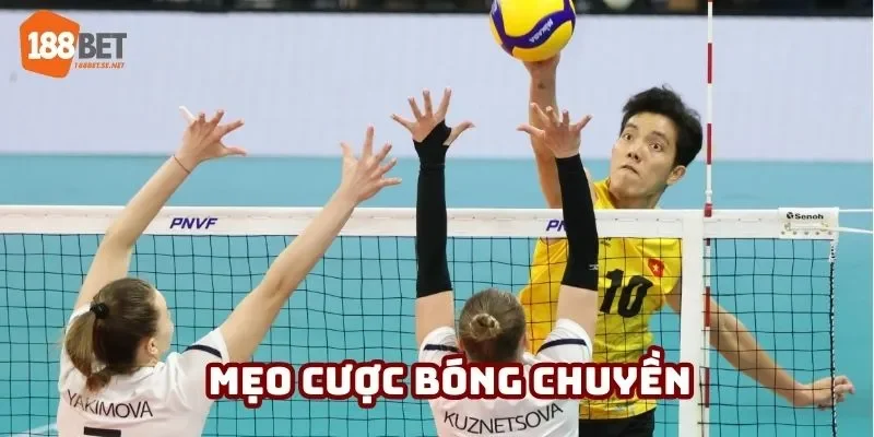mẹo cược Bóng chuyền